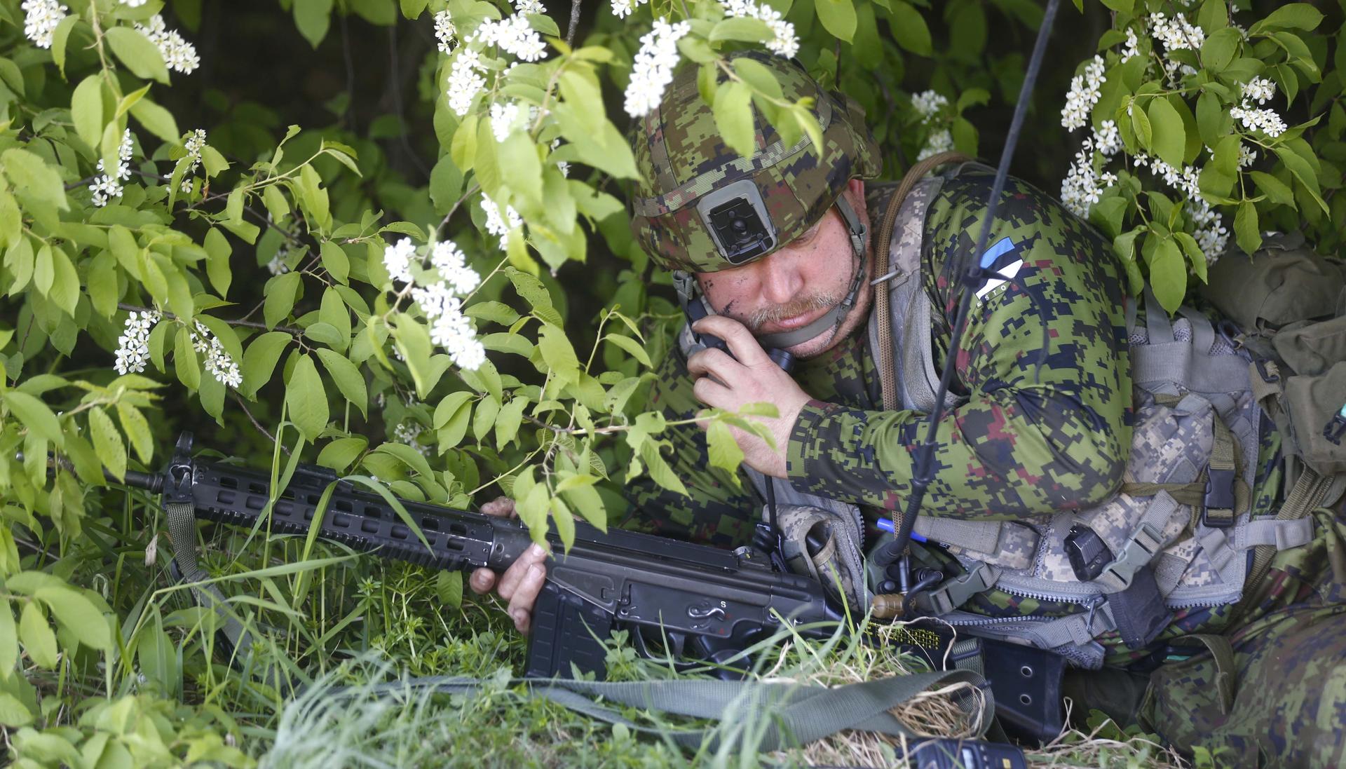 A solider positioned in shrubbery.