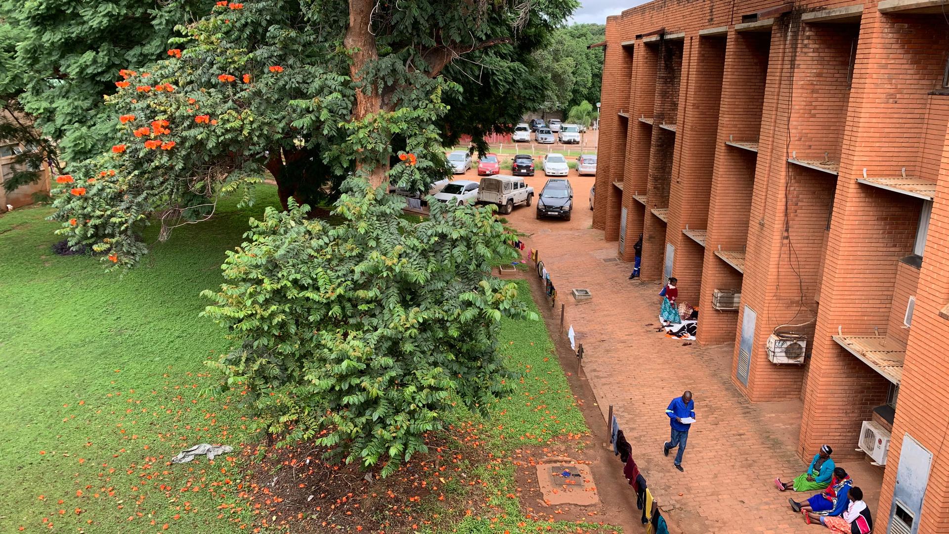 University Teaching Hospital in the capital Lusaka, Zambia is home to the first neurology residency program in the country. The program has trained seven neurologists since starting in 2018.