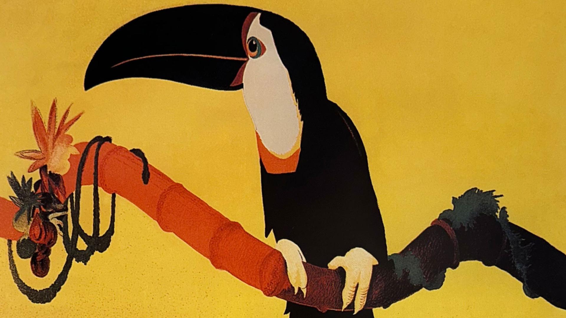 Image from a poster depicting a toucan at the new exhibition, "Imaginary Amazon," at the University of San Diego, featuring works by contemporary artists, many of them Indigenous inhabitants of the Amazon. 