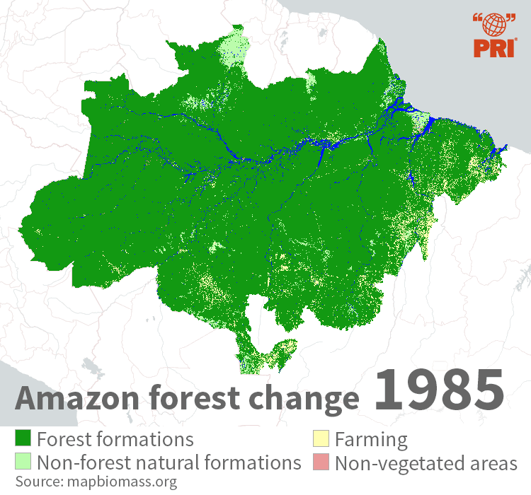 GIF showing how much of the Amazon is being deforested over time.