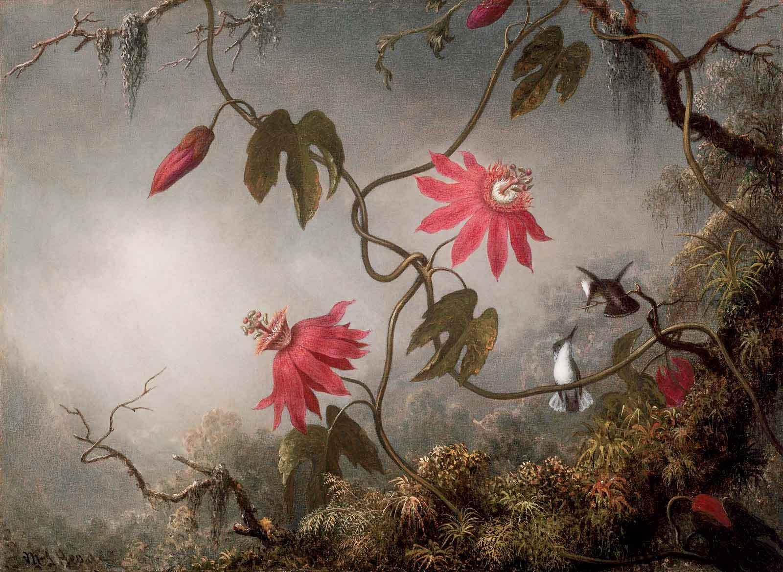 Passion Flowers and Hummingbirds, about 1870–83 | Martin Johnson Heade