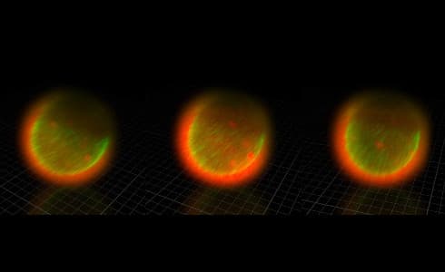 Mouse cells
