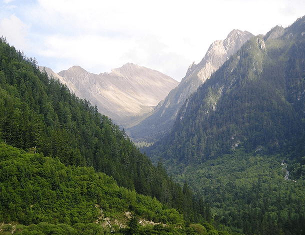 Forest recovery was seen particularly in mountain regions, including the Min Mountains pictured here, and in areas that had previously been cut down by logging companies. (Photo: Andrés Viña)
