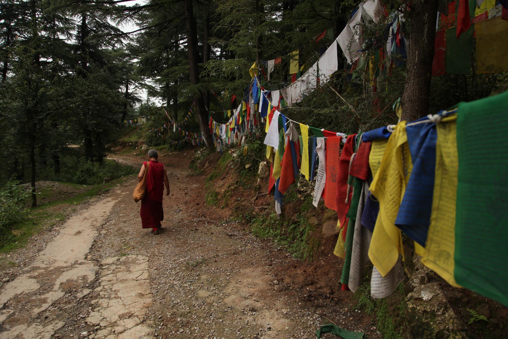 Tibetan Monk in Dharamsala, India