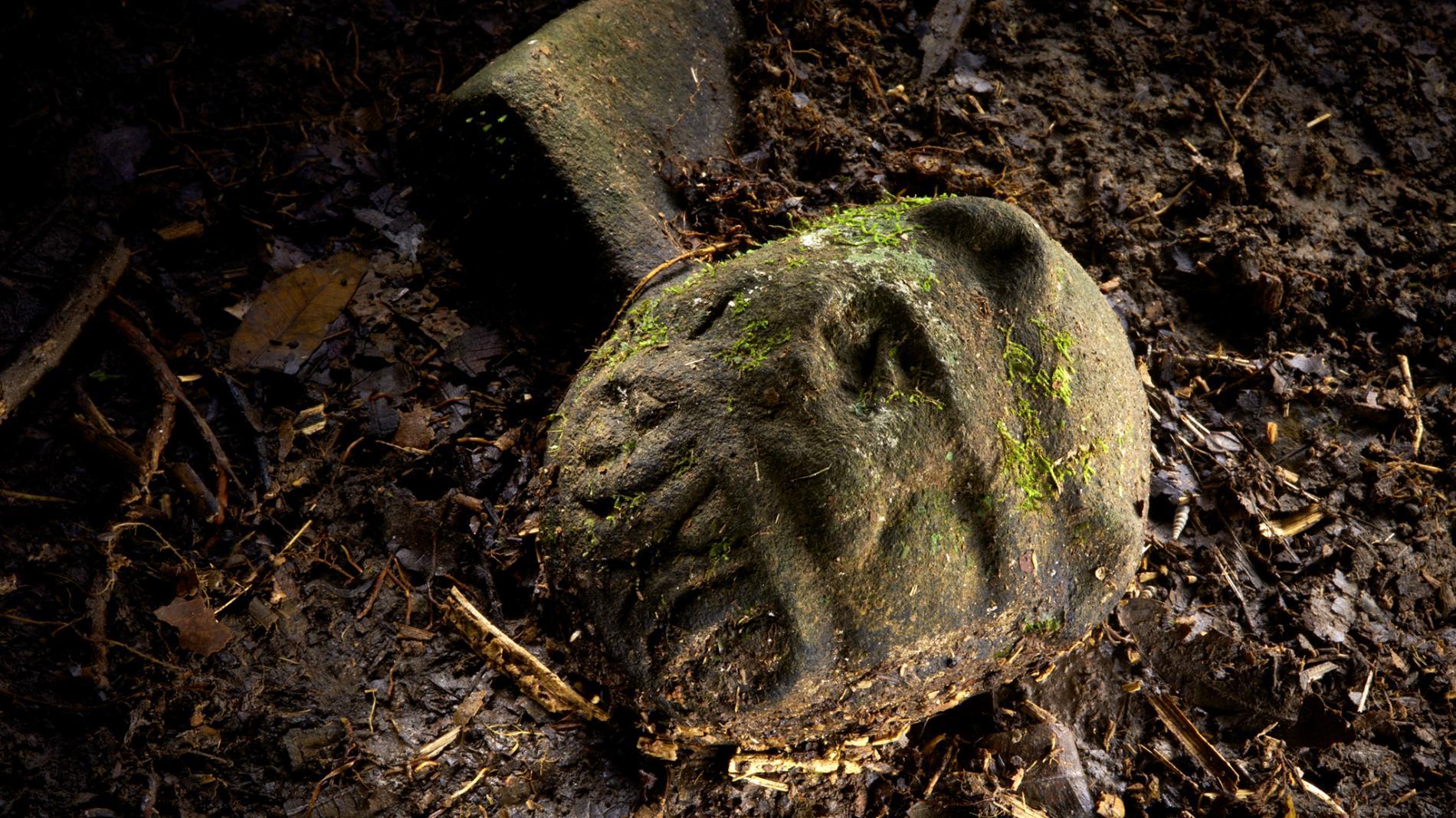 The jaguar head as it first appeared emerging from the ground.