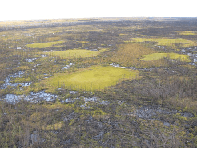 Melted permafrost after a wildfire