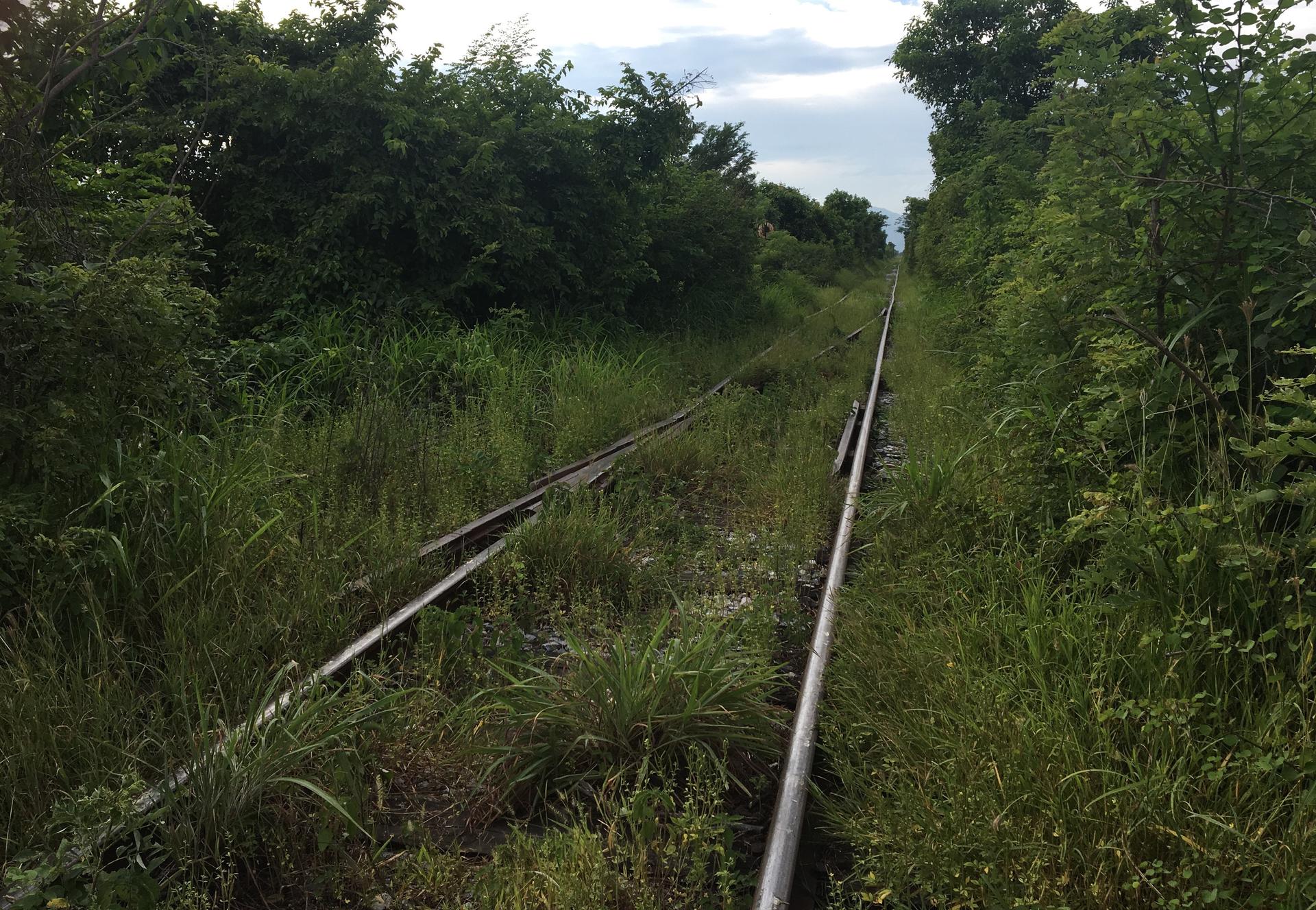 Railroad tracks through green, forested area