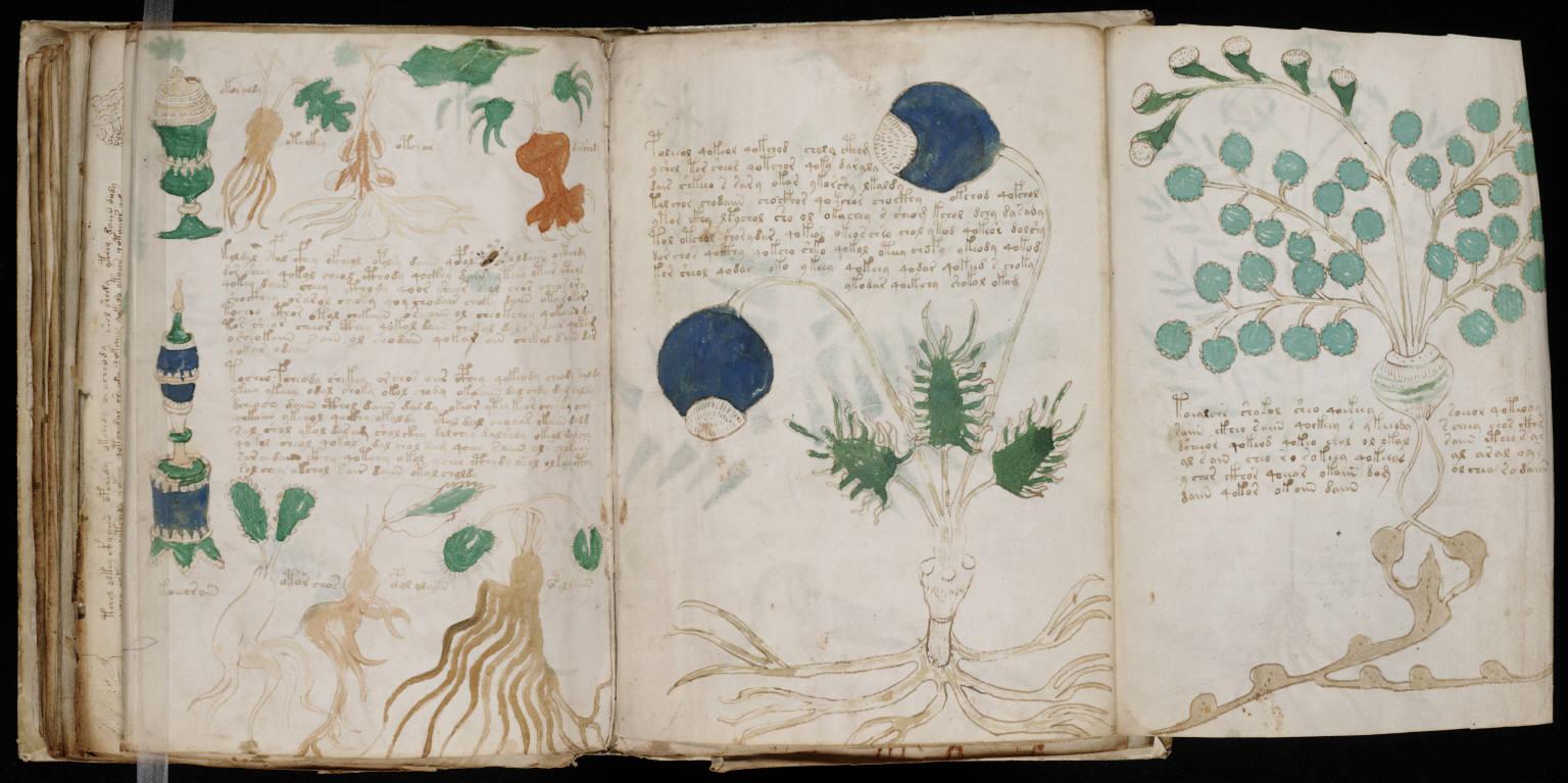 Voynich Manuscript