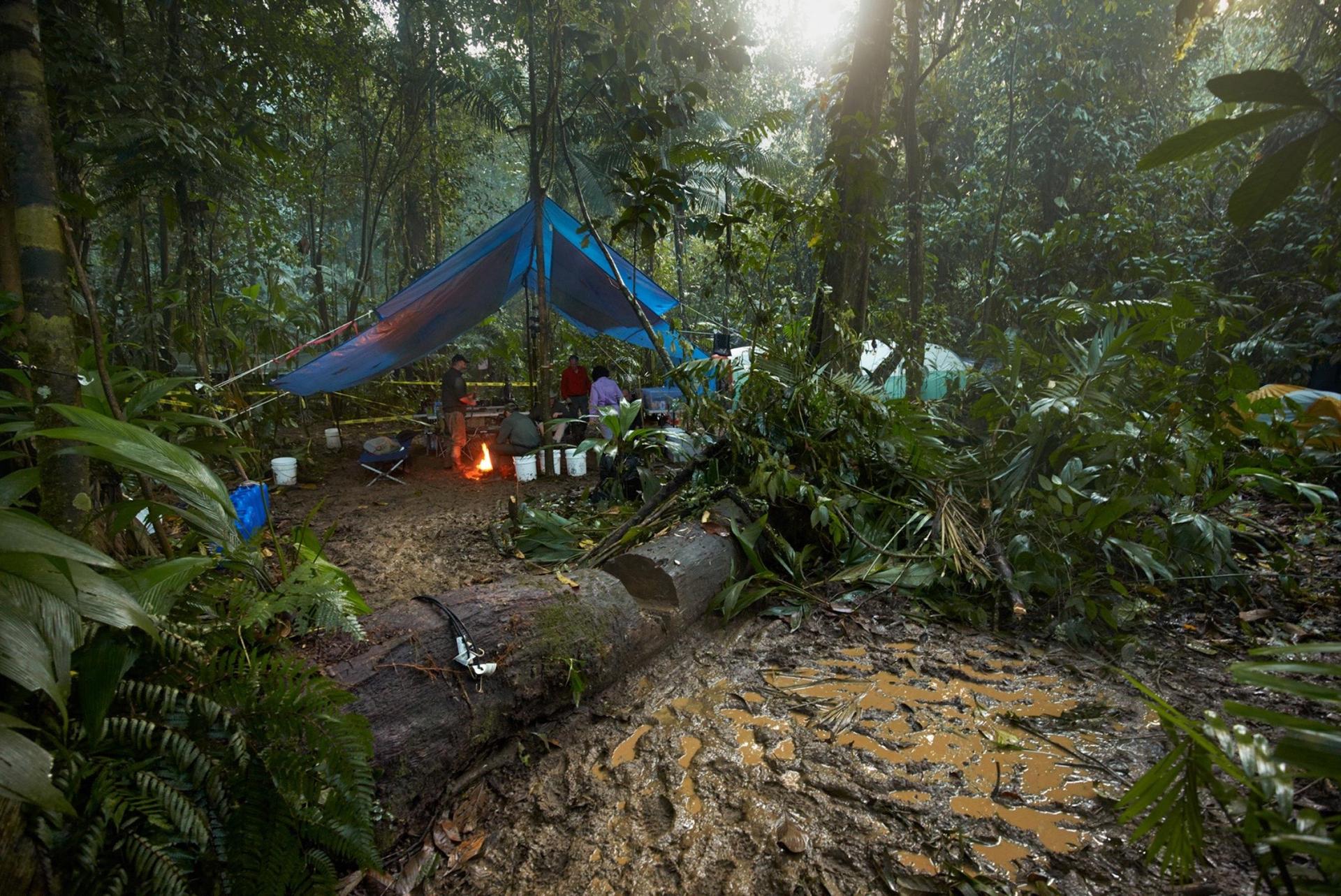 The “kitchen” area of the expedition’s camp deep in the Mosquitia jungle, 2015. The area was so remote, the animals apparently had never seen people before and wandered about, unafraid.