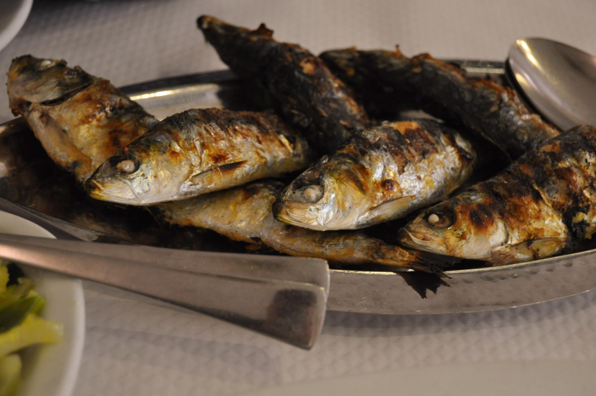 grilled sardines