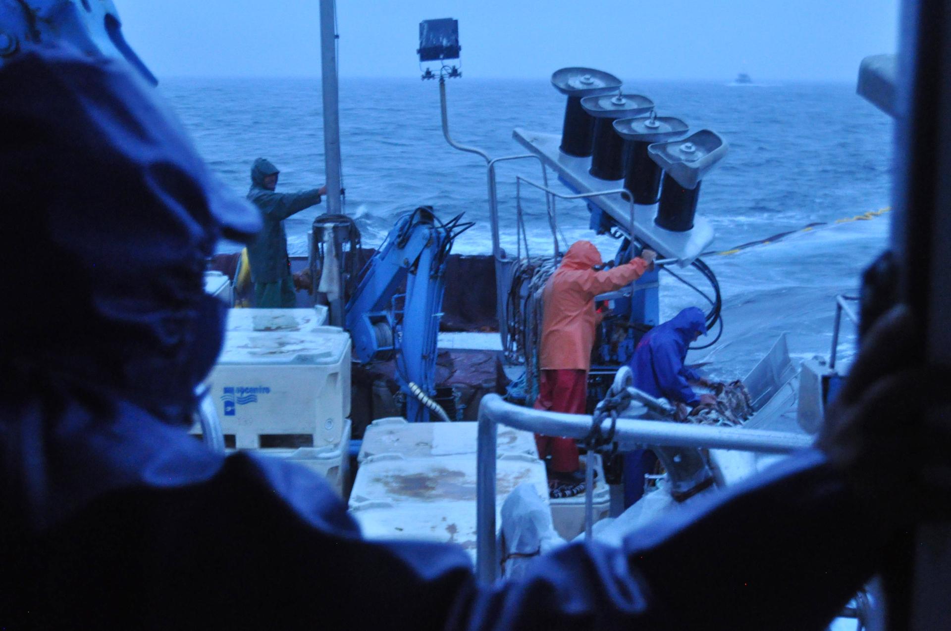 fishermen in Portugal set up the nets for the day's catch