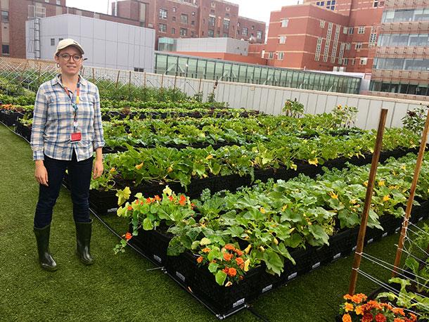 A woman stands next to rows of tidy plants on a rooftop farm