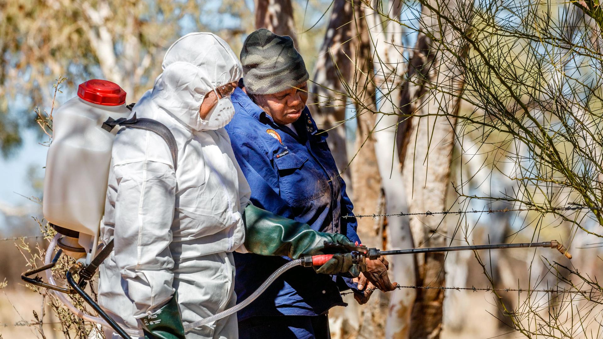 One woman wears an white protective suit and has a large plastic jug strapped to her back; another woman stands next to her as both inspect a branch of a bush.