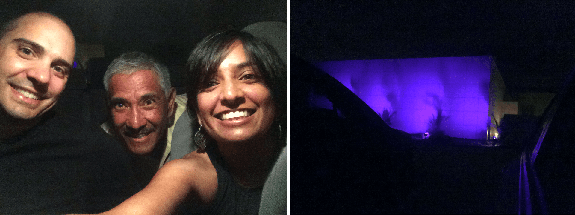 On the left, a selfie of the author and colleagues in their car in front of Paisley Park. On the right, a purple building at night.