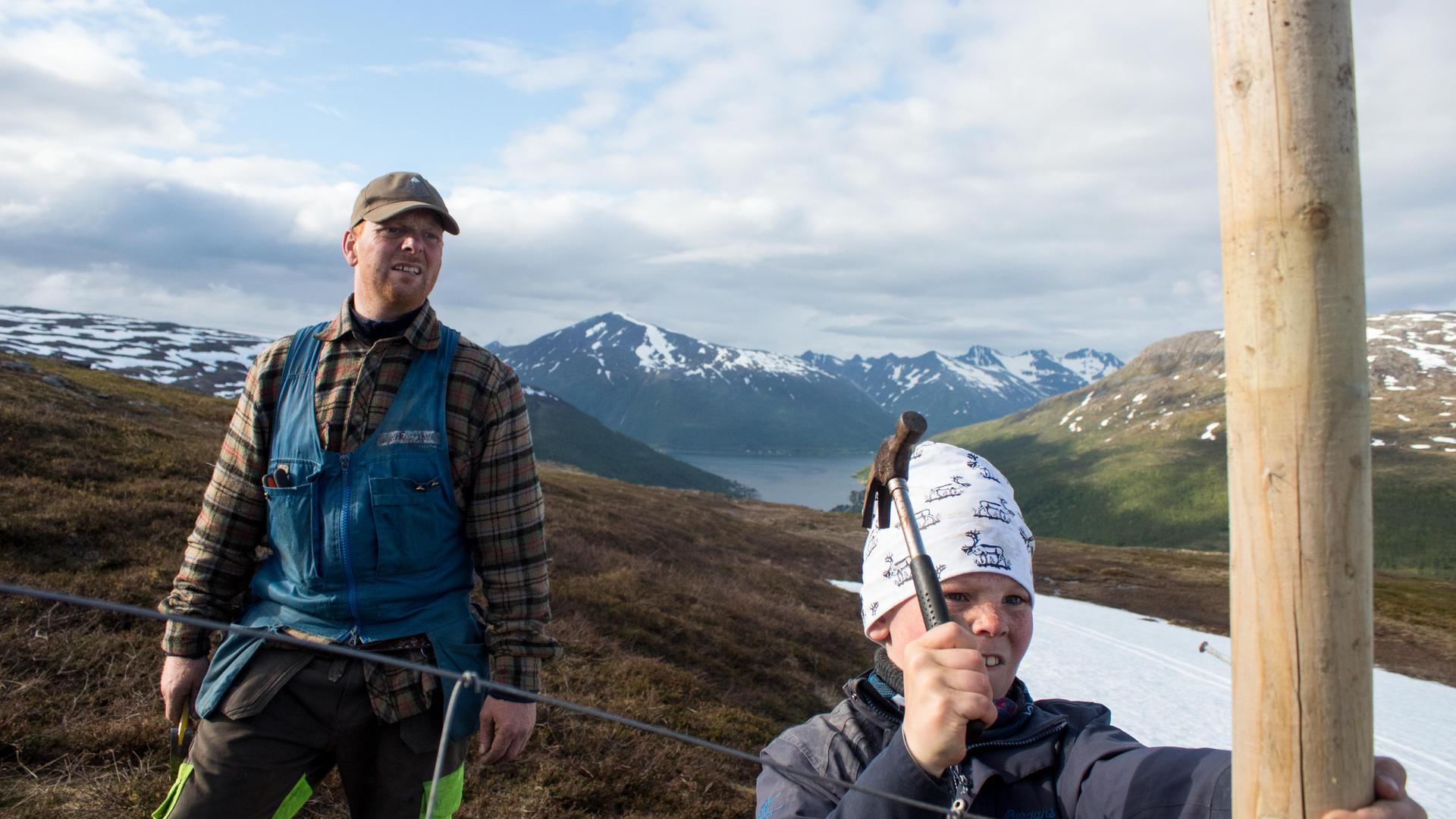 Sámi renideer herder Reiulf Aleksandersen and his son build a fence for gathering their herd on Rooksavardi, or Red Mountain, in far northern Norway.