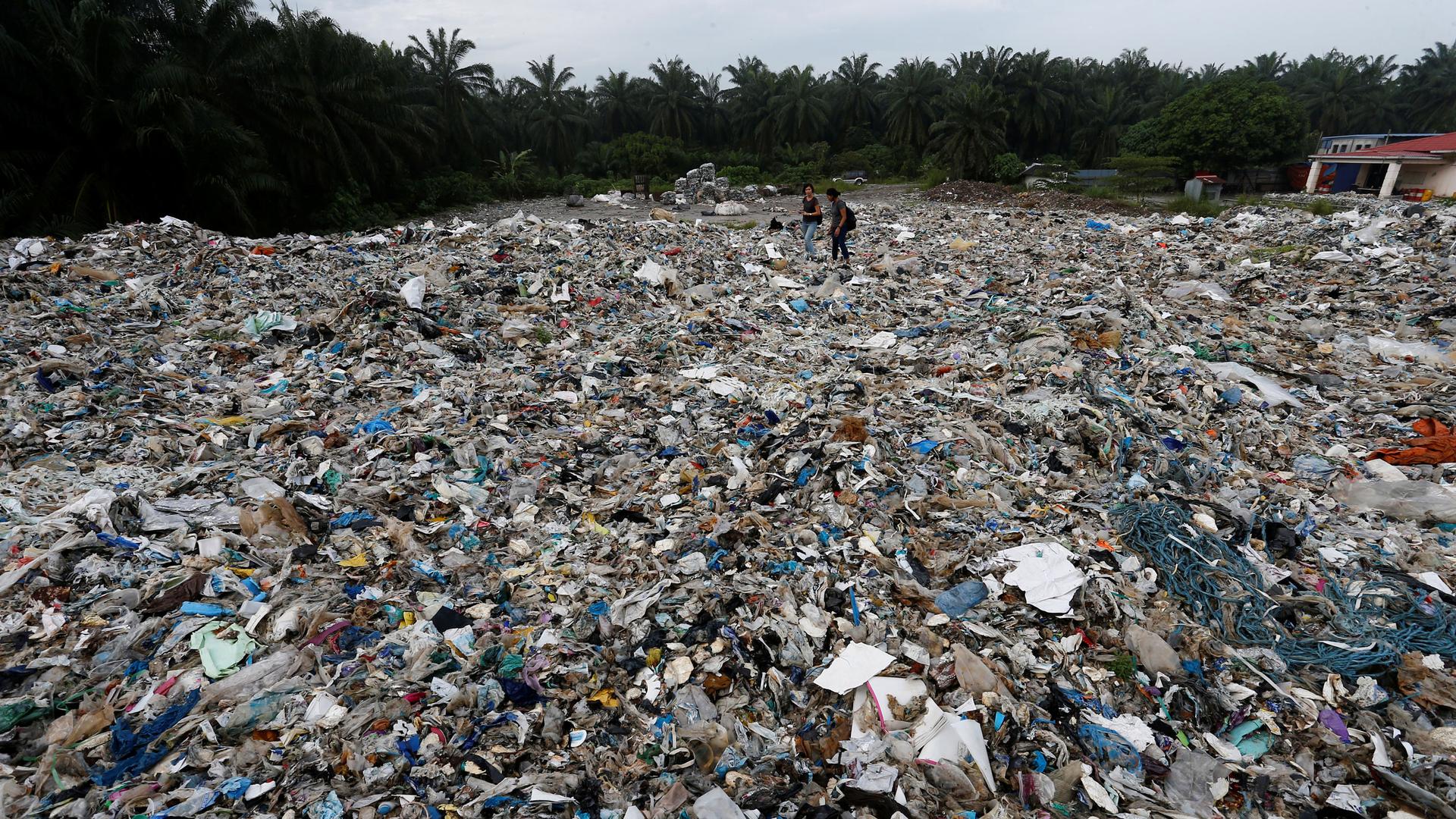 Plastic waste is shown covering almost the entire ground area of the photo with a slim green tree line along the top of the frame.