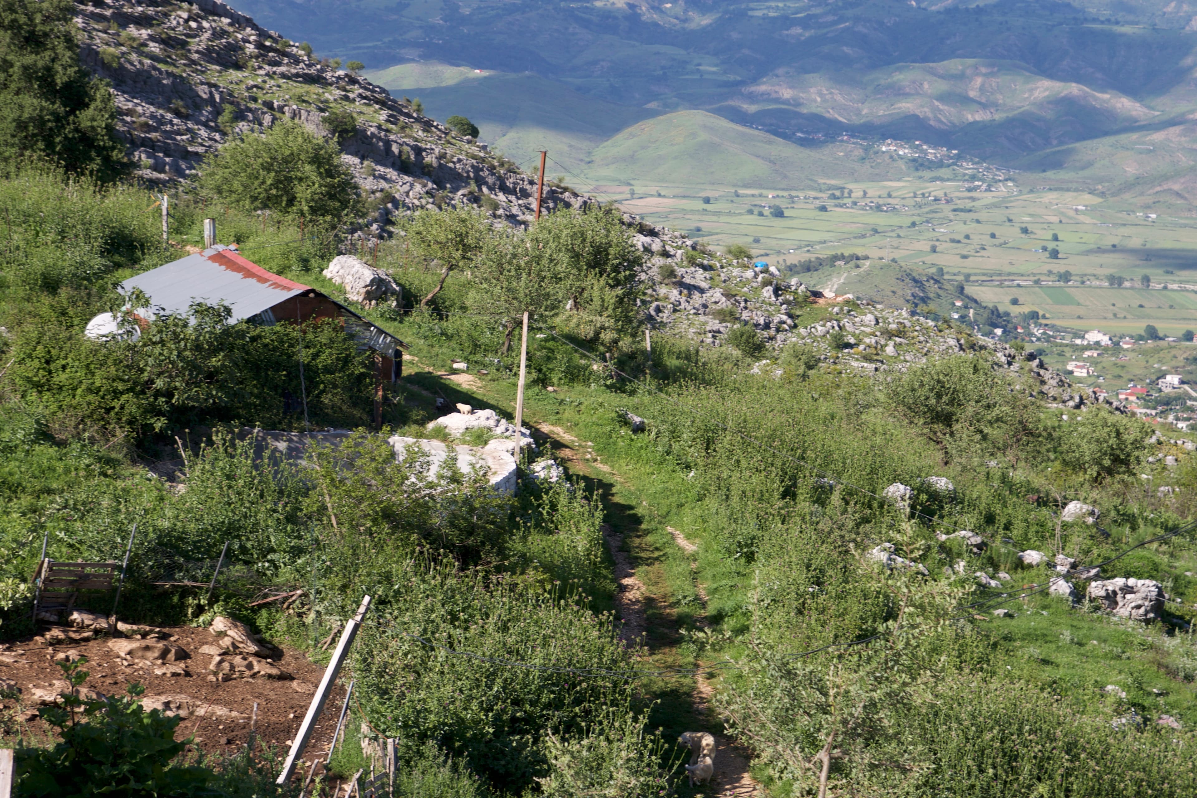 For more than a decade, Lazarat’s residents grew massive amounts of marijuana out in the open. Police say the street value of that pot reached as much as 4.5 billion euros in Western Europe.
