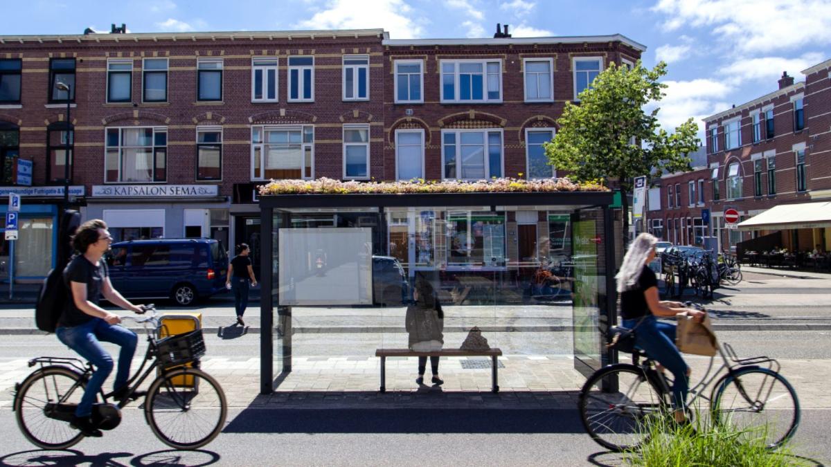 Cyclist ride in front of a bus shelter with flowers planted on the roof.