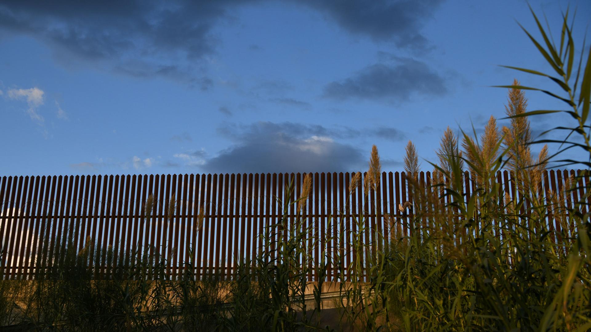 A section of a slatted border fence is shown with greenery in the nearground and dark clouds in the distance.