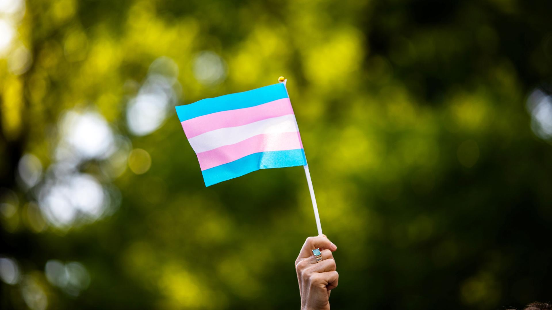 A hand holds a transgender flag