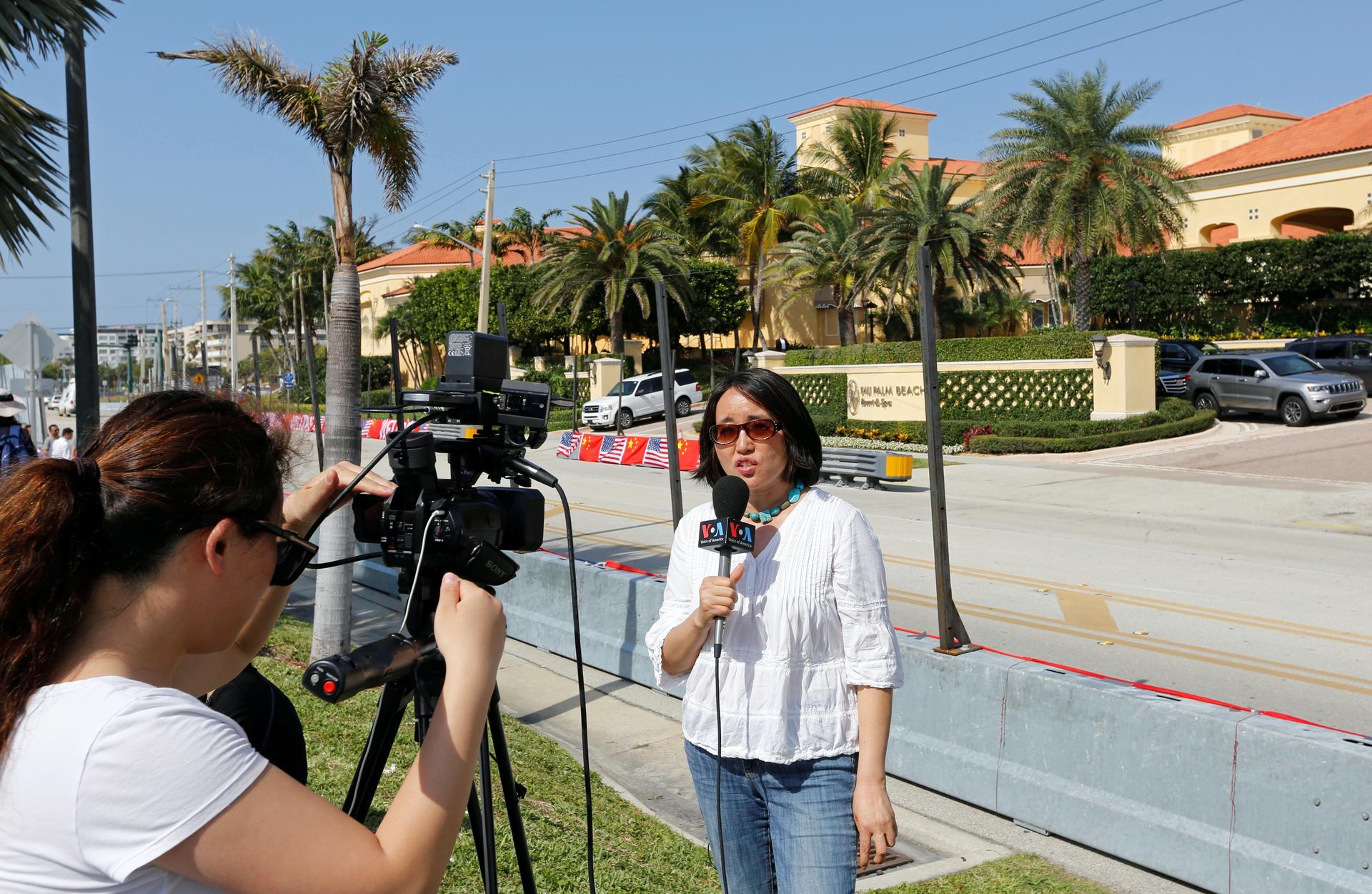 A woman reporters with a camera crew outside near palm trees.
