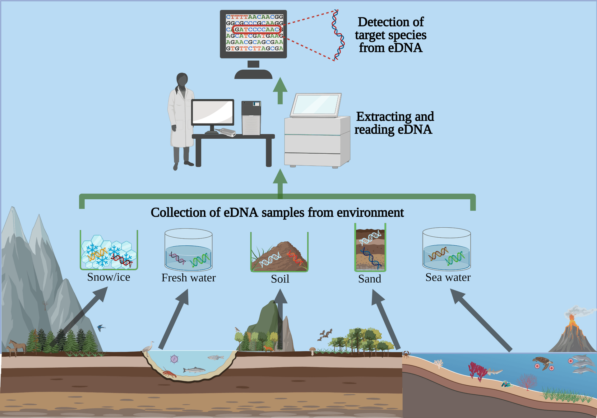 Scientists now can detect DNA traces from many different environments.