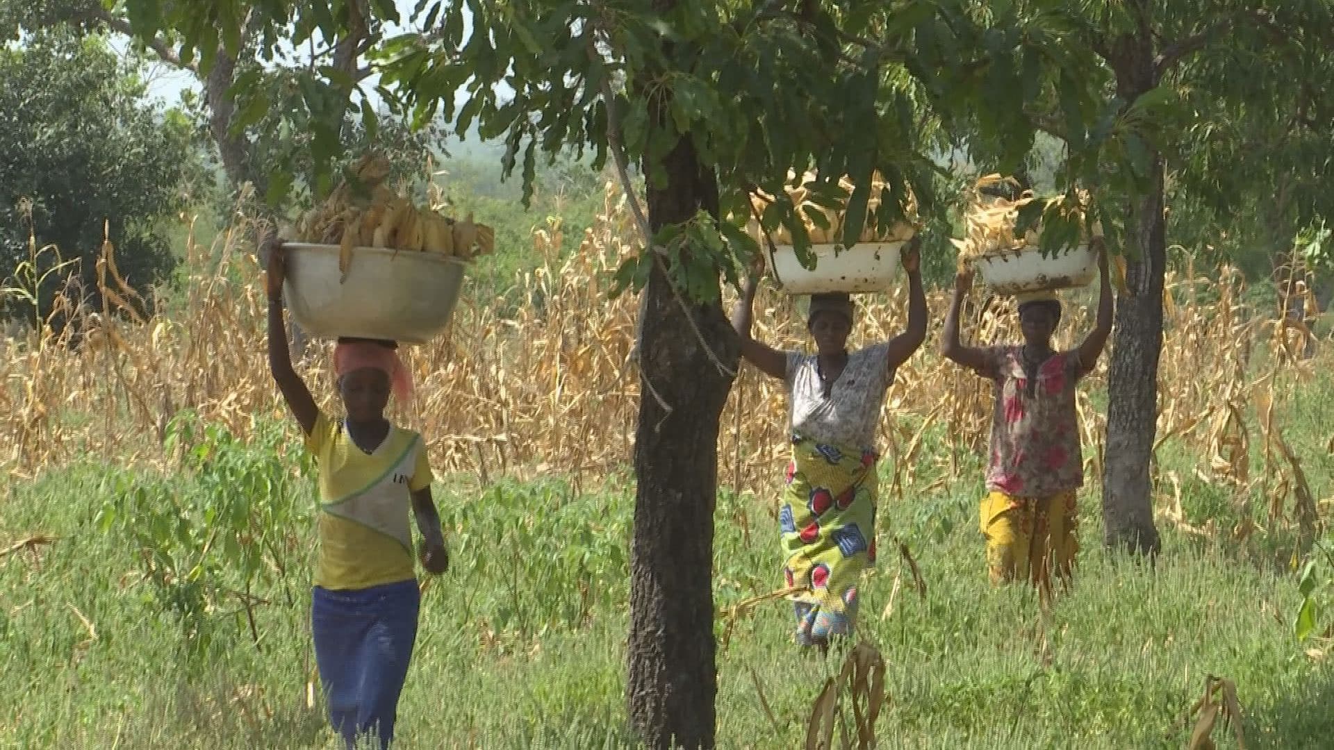 Several women from the village of Kpinchilla return from the farm.