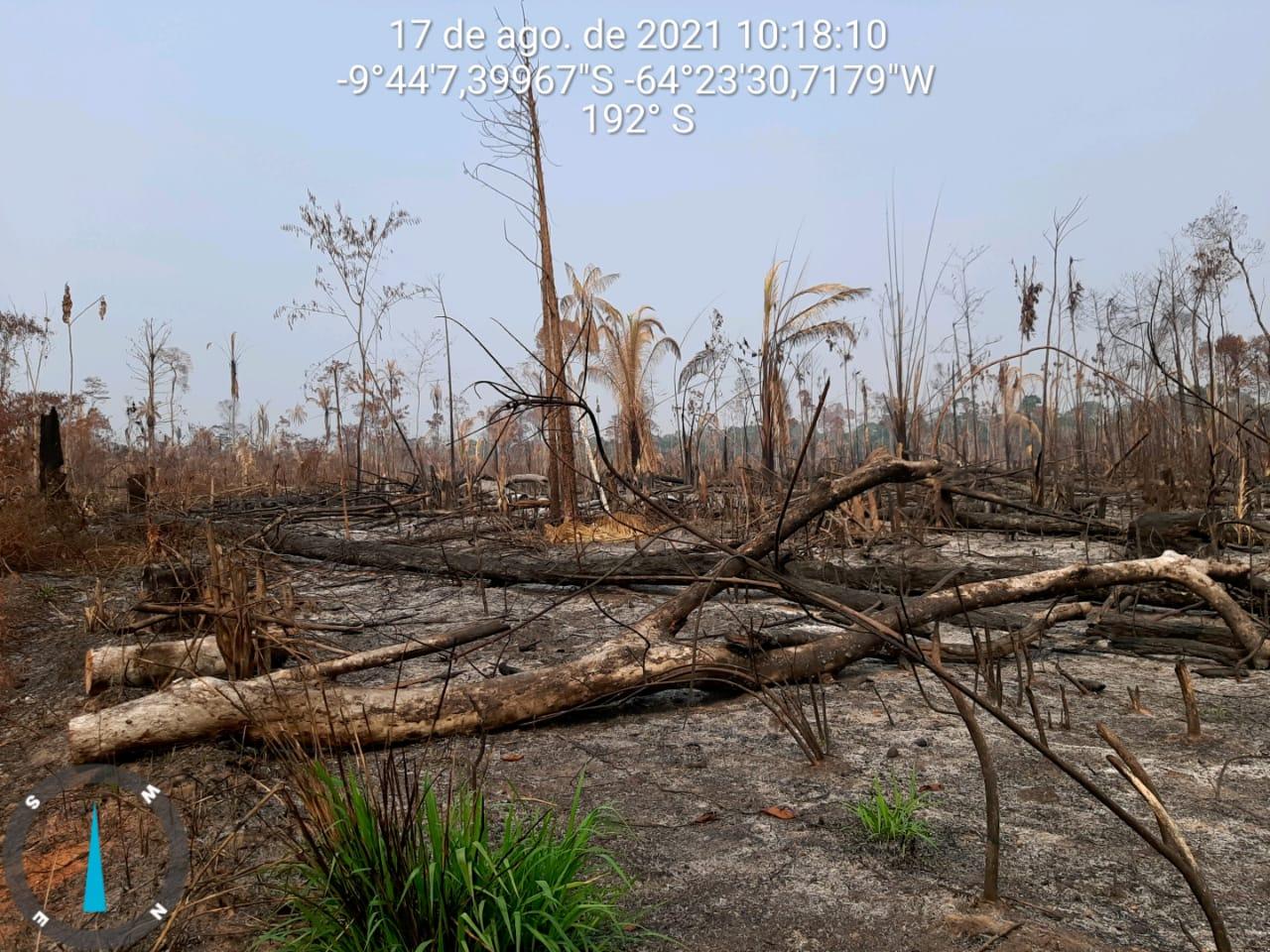 An image of the Karipuna territory in Brazil.