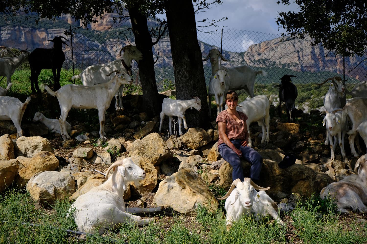 Shepherd-in-training Aina Solana rests with goats on a hot day. Losana has given up city life to reconnect with her roots and with nature.