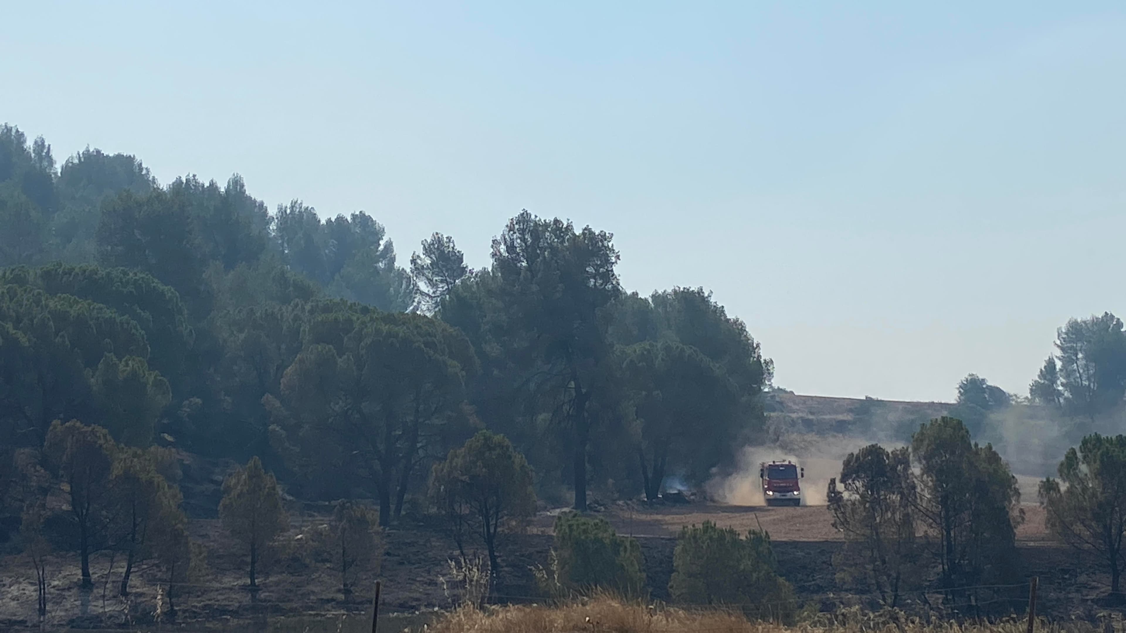 a forest destroyed by fire