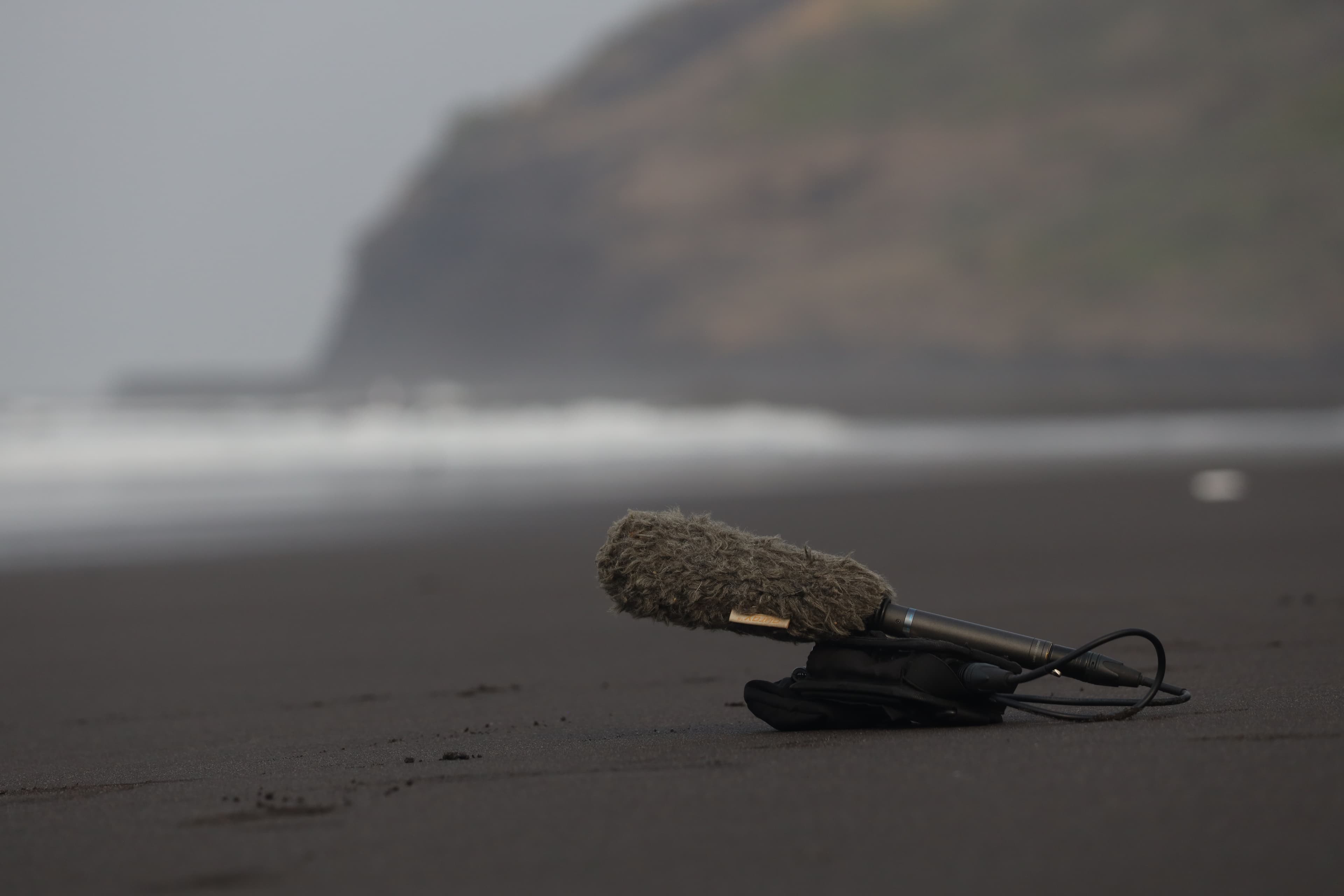microphone