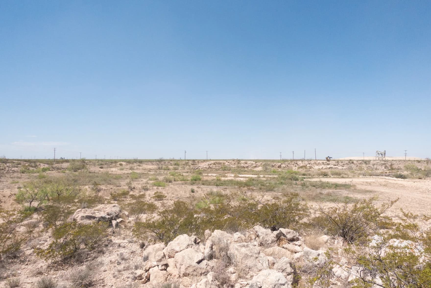 Desolate field