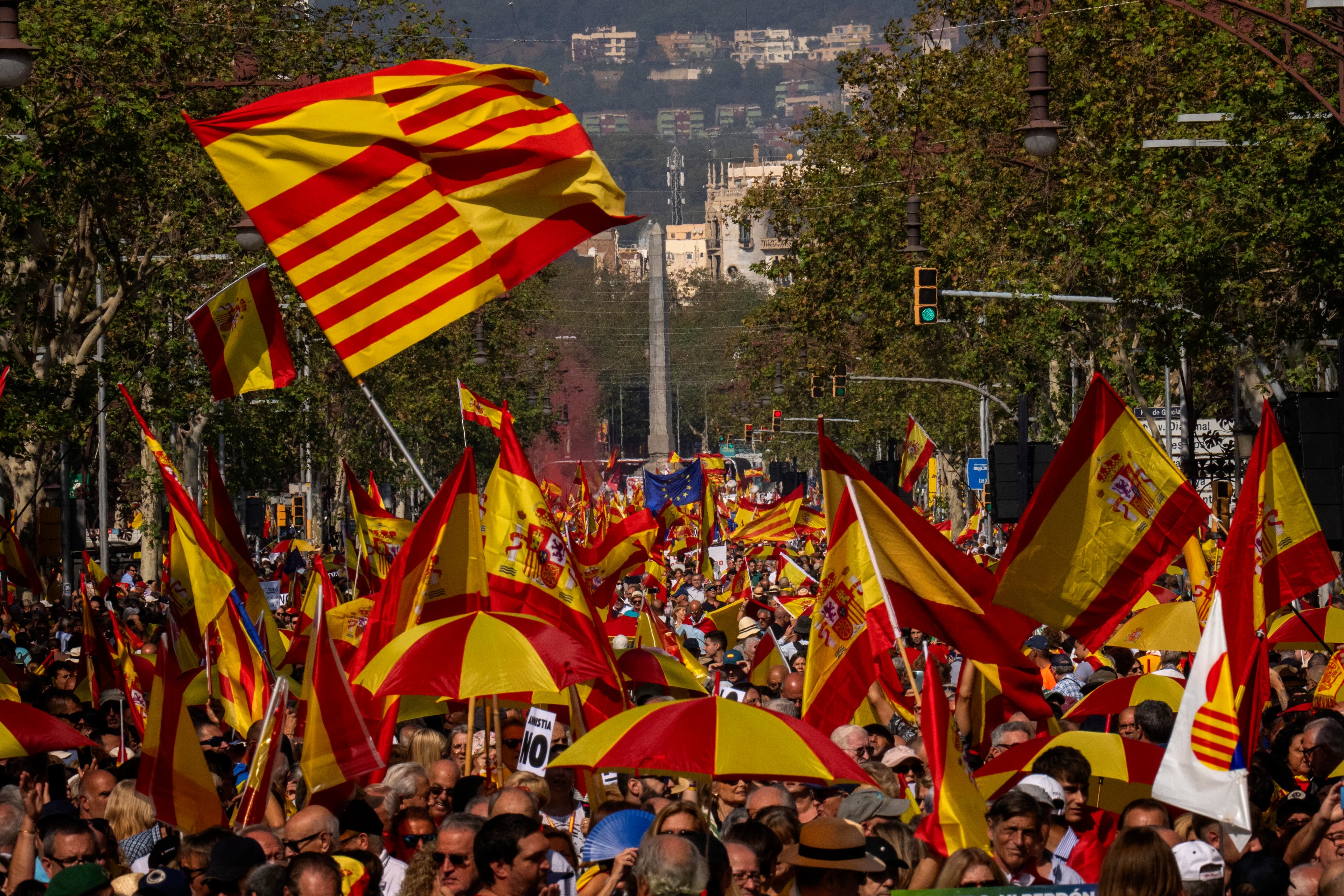 large crowd marching with flag of Spain