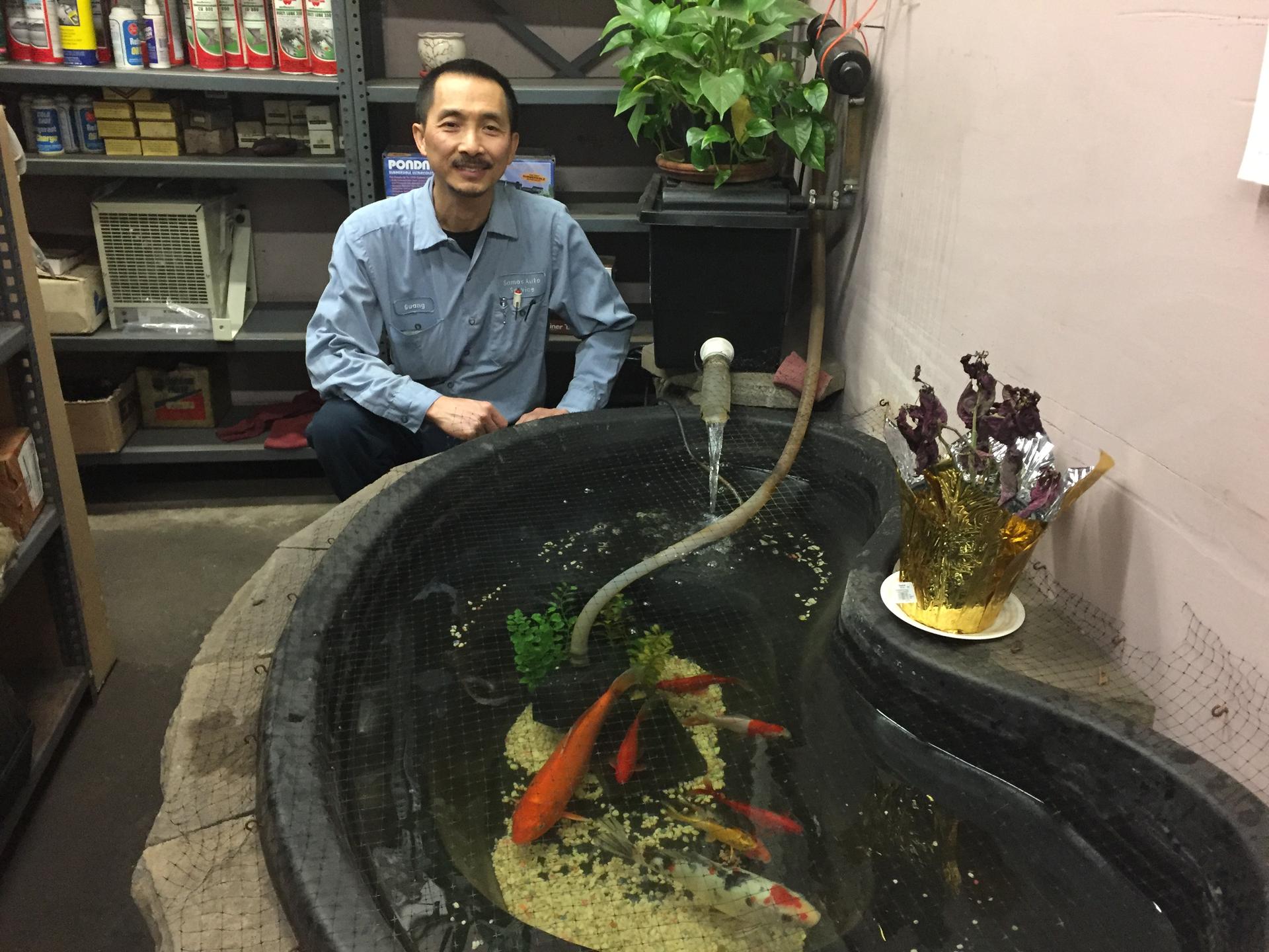Guang Lin stands over his koi pond.