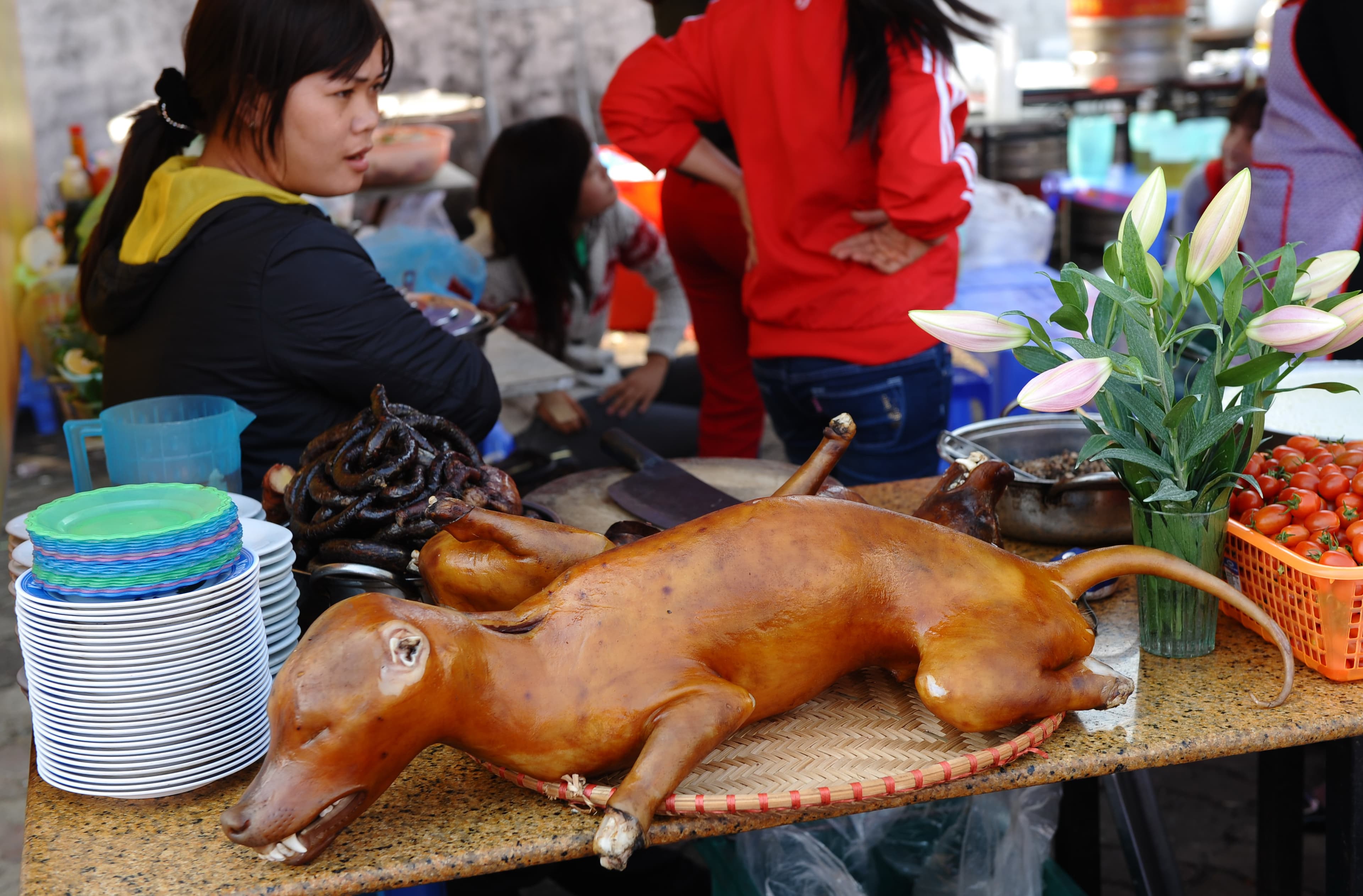 Dog meat for sale with beer.
