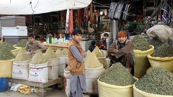 Hena sellers, Jalalabad city, Ningarhar province.