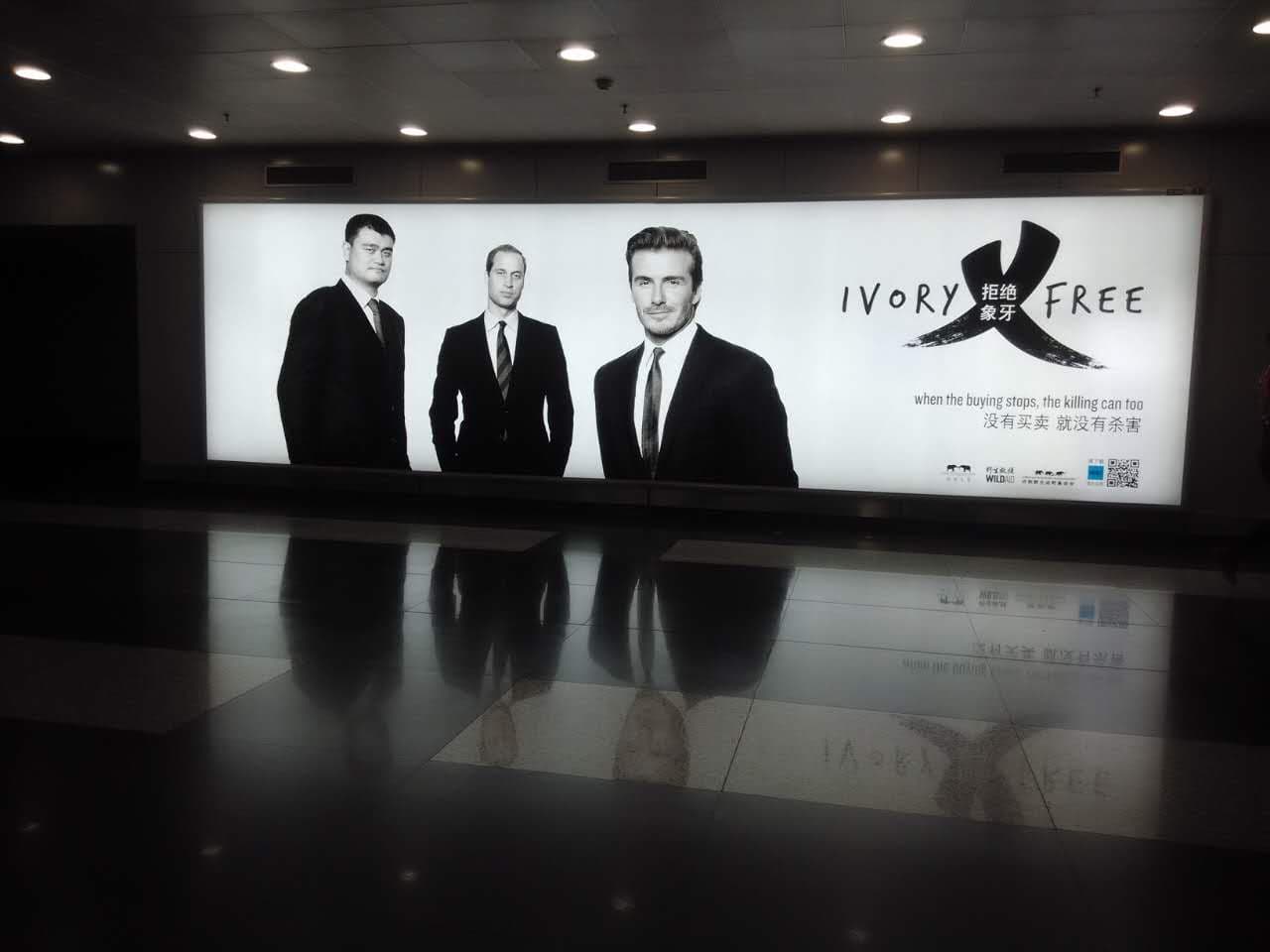 Anti-Ivory Ad