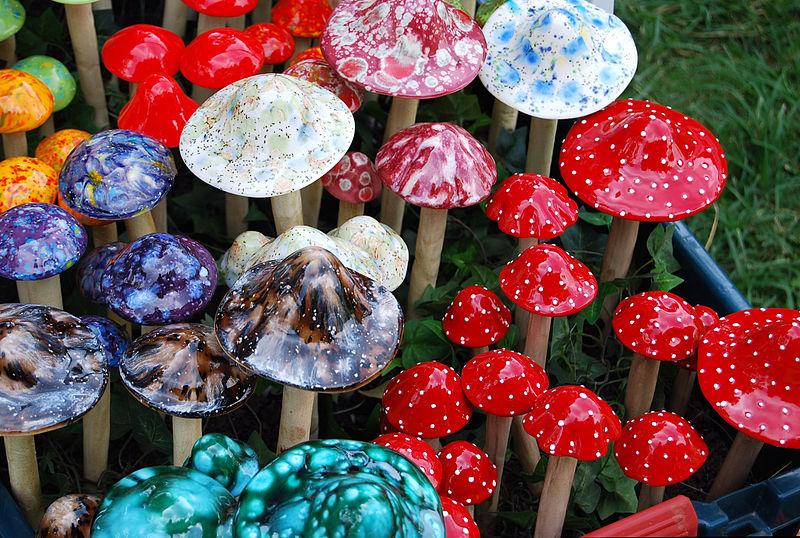 Fantasy mushrooms in many colors