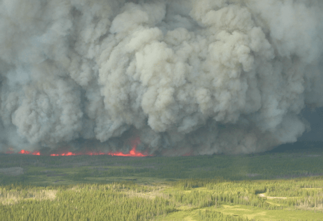 Boreal forest fire