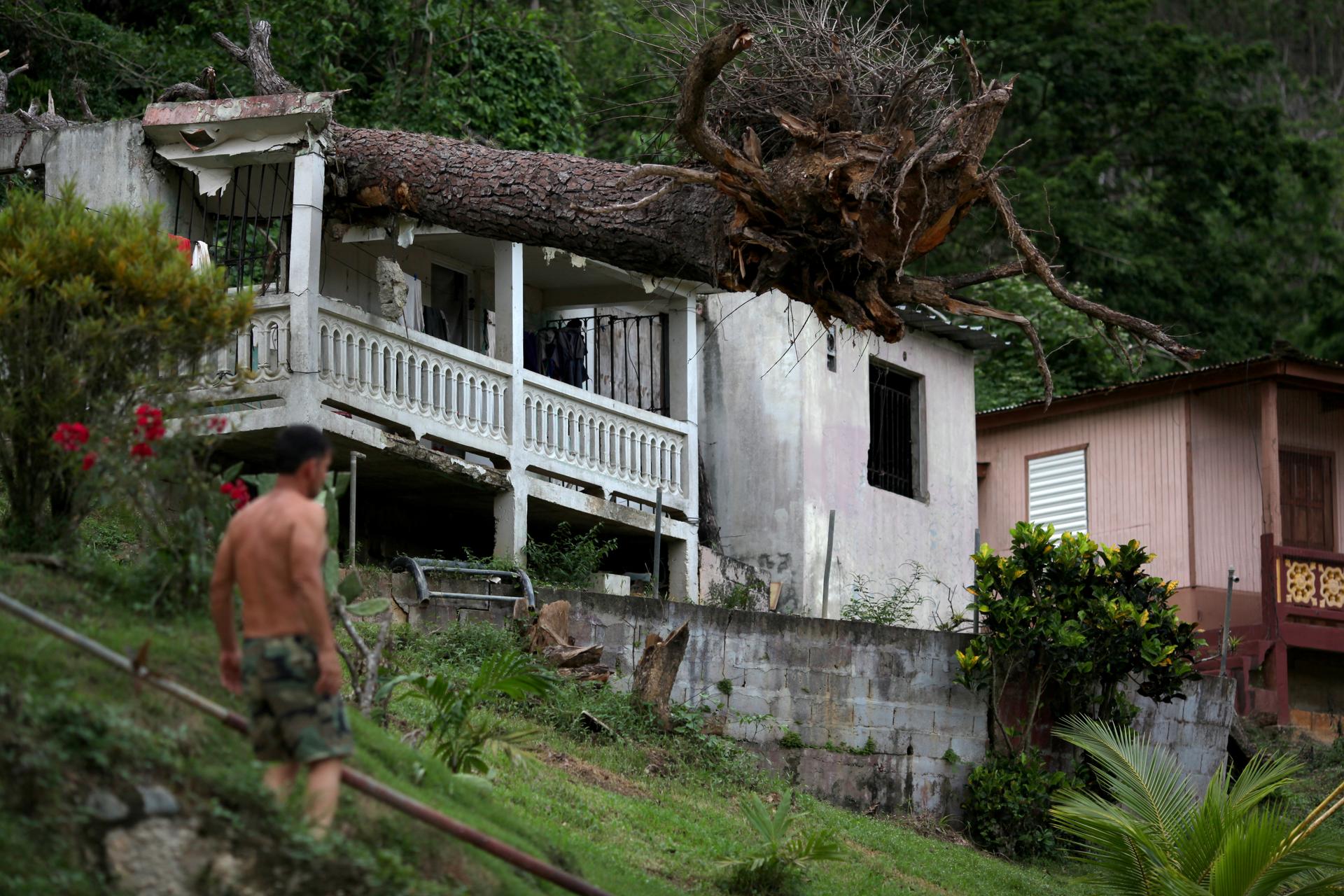 Months after Hurricane Maria slammed Puerto Rico, damage like this fallen tree on a roof in Utuado have yet to be repaired.