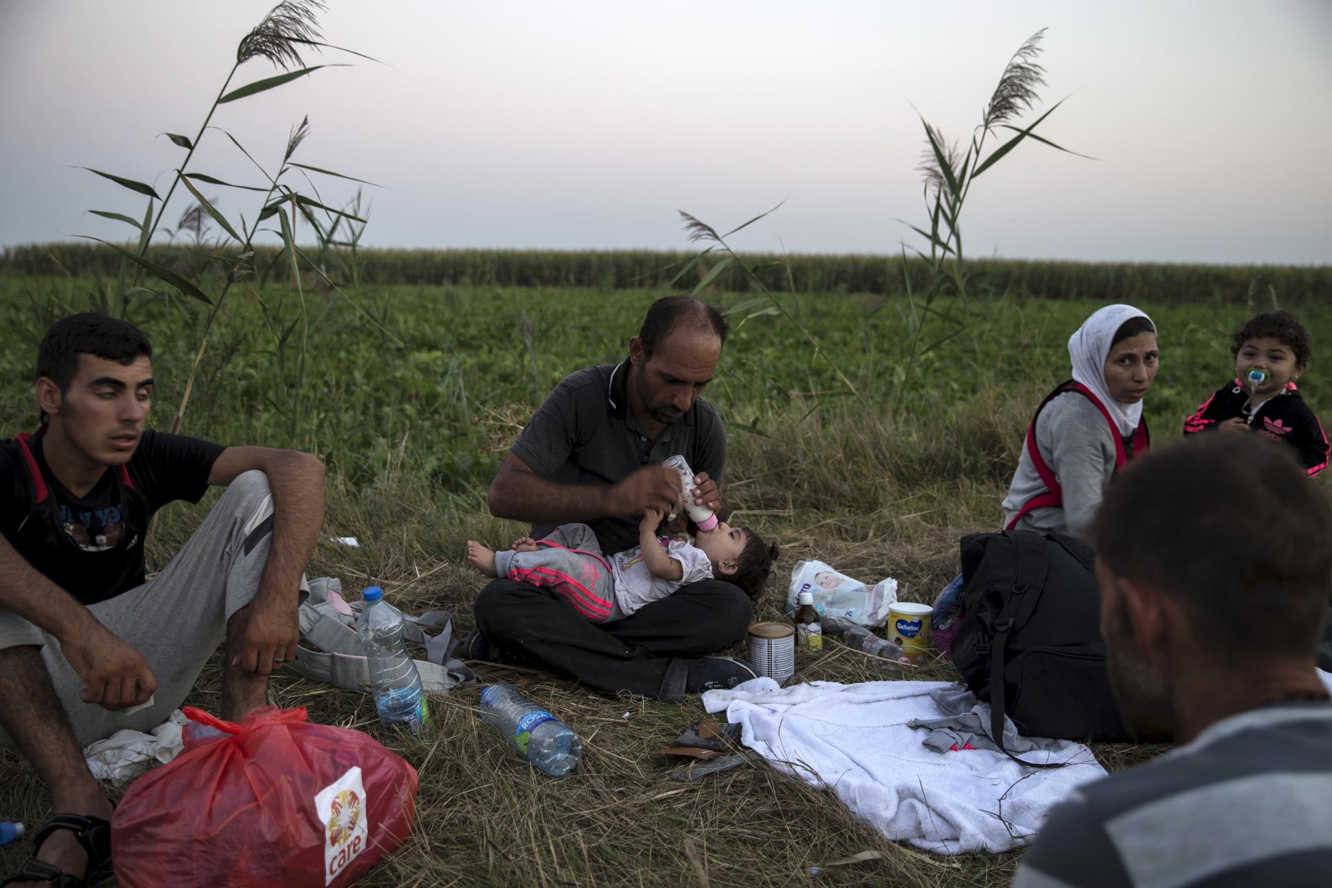 A migrant, hoping to cross into Hungary, feeds a child with milk as they sit on a field outside the village of Horgos in Serbia, towards the shared border with Hungary.