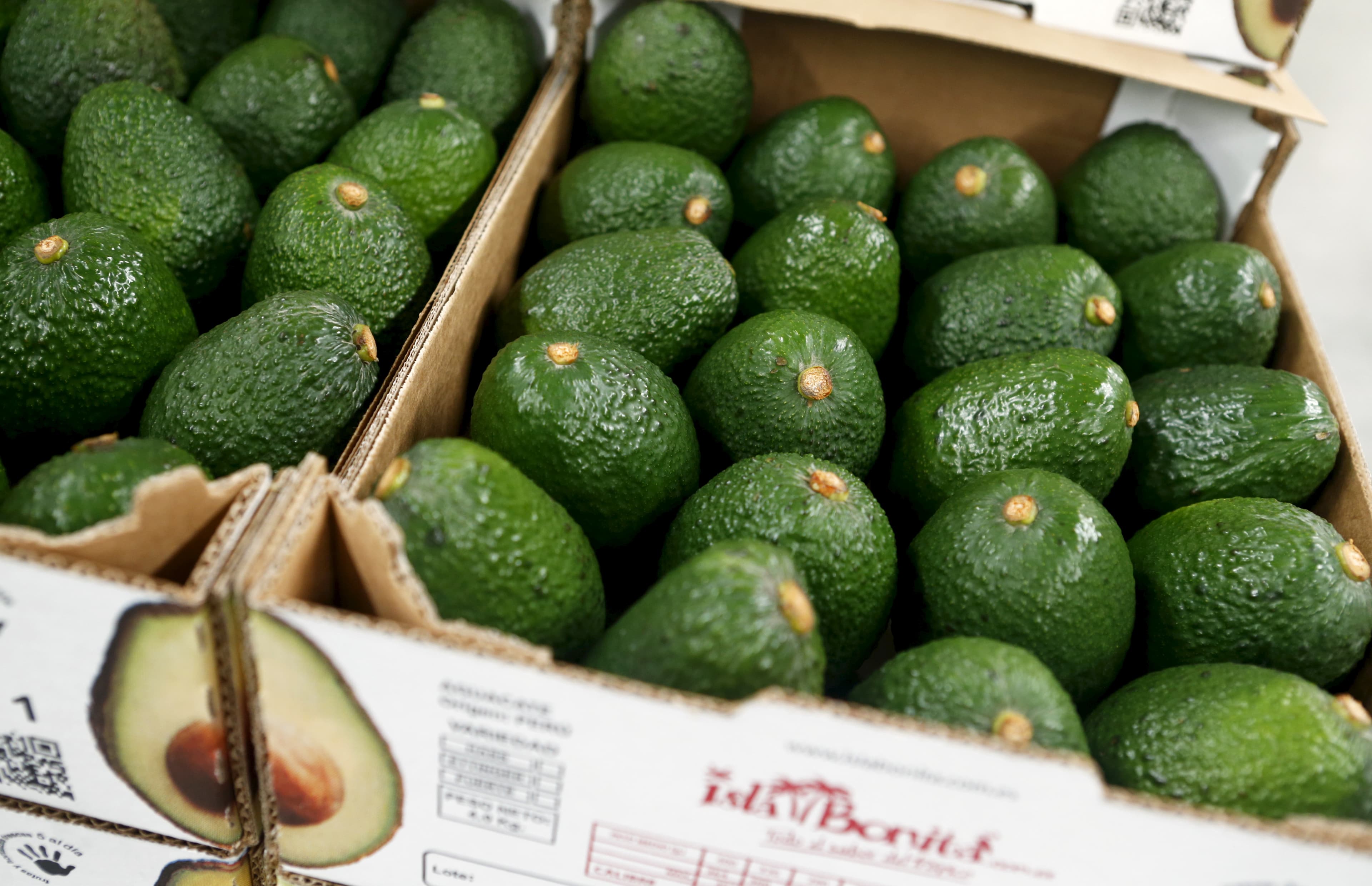 The problem with bringing in avocados
