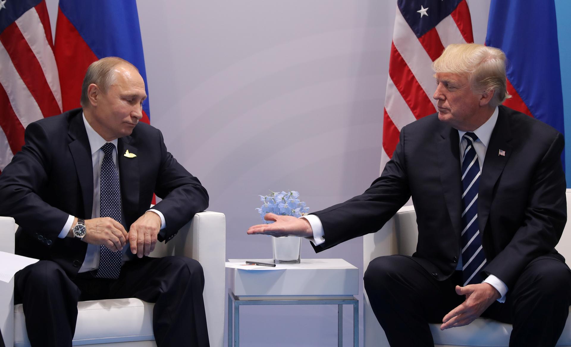 President Donald Trump meets with Russian President Vladimir Putin during the their bilateral meeting at the G20 summit in Hamburg.