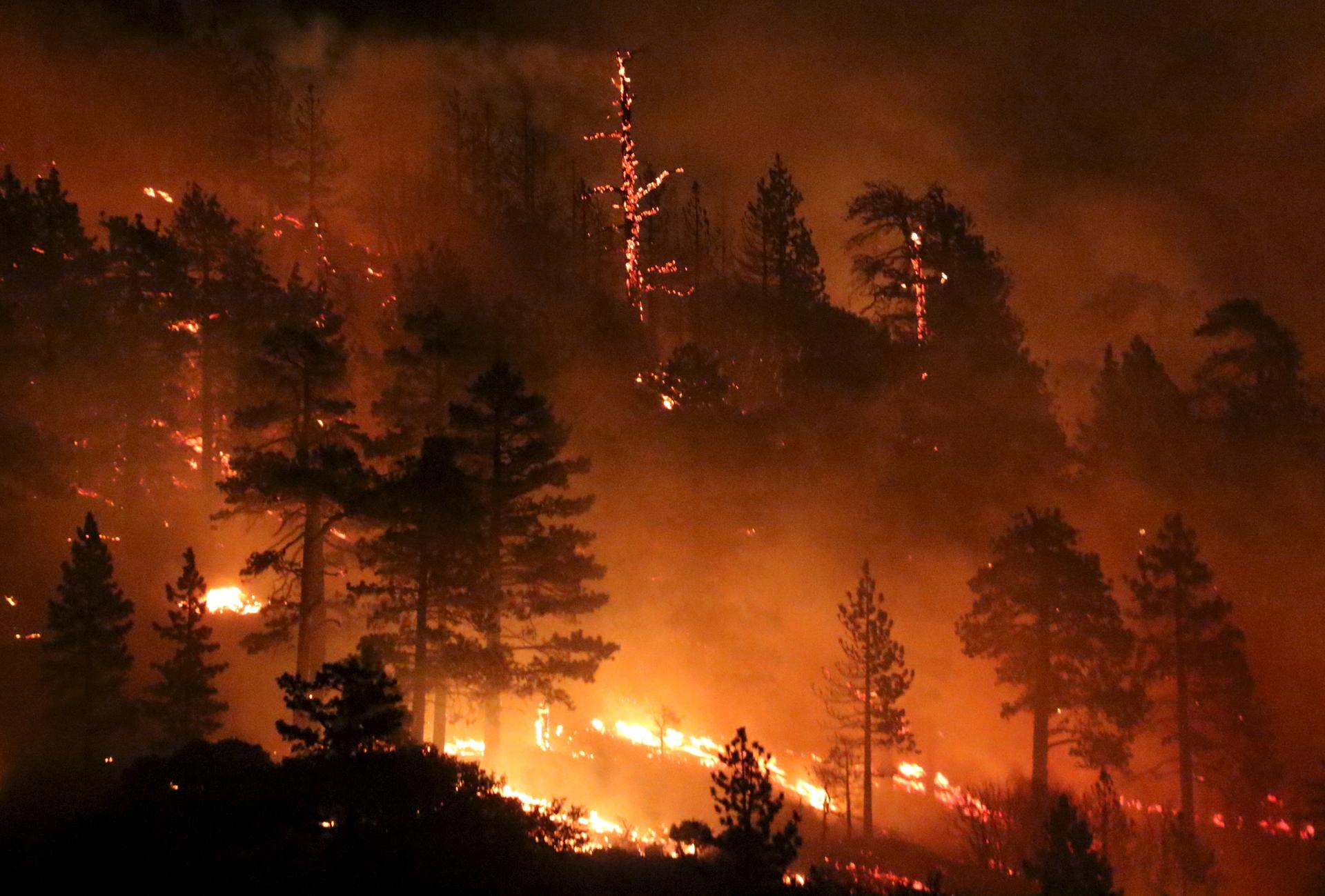 Лесные пожары решения. Wildfire группа. Фон стихийные бедствия Лесные пожары. Лесные пожары Википедия. Проблемы от лесного пожара.