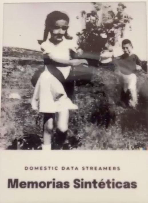 Domestic Data Streamers uses artificial intelligence to create an artificial memory.