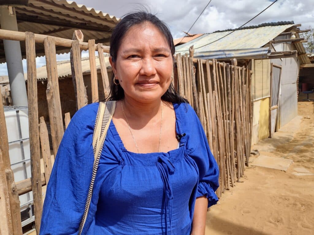A woman in a blue blouse stands outdoors next to a wooden fence, with a building and clear sky in the background.