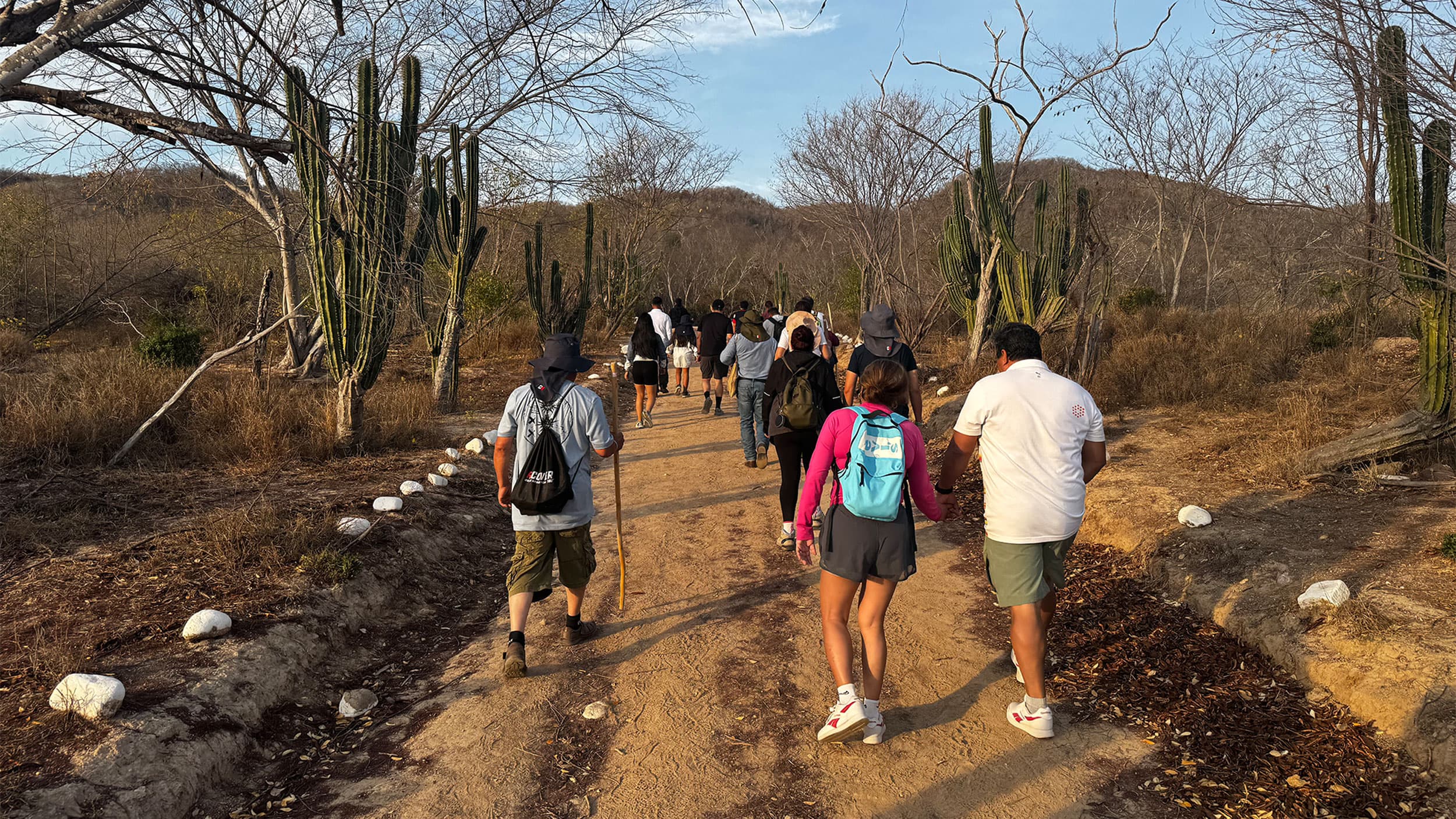 A group of people hiking on a dirt path surrounded by tall cacti and sparse trees in a dry, arid landscape.