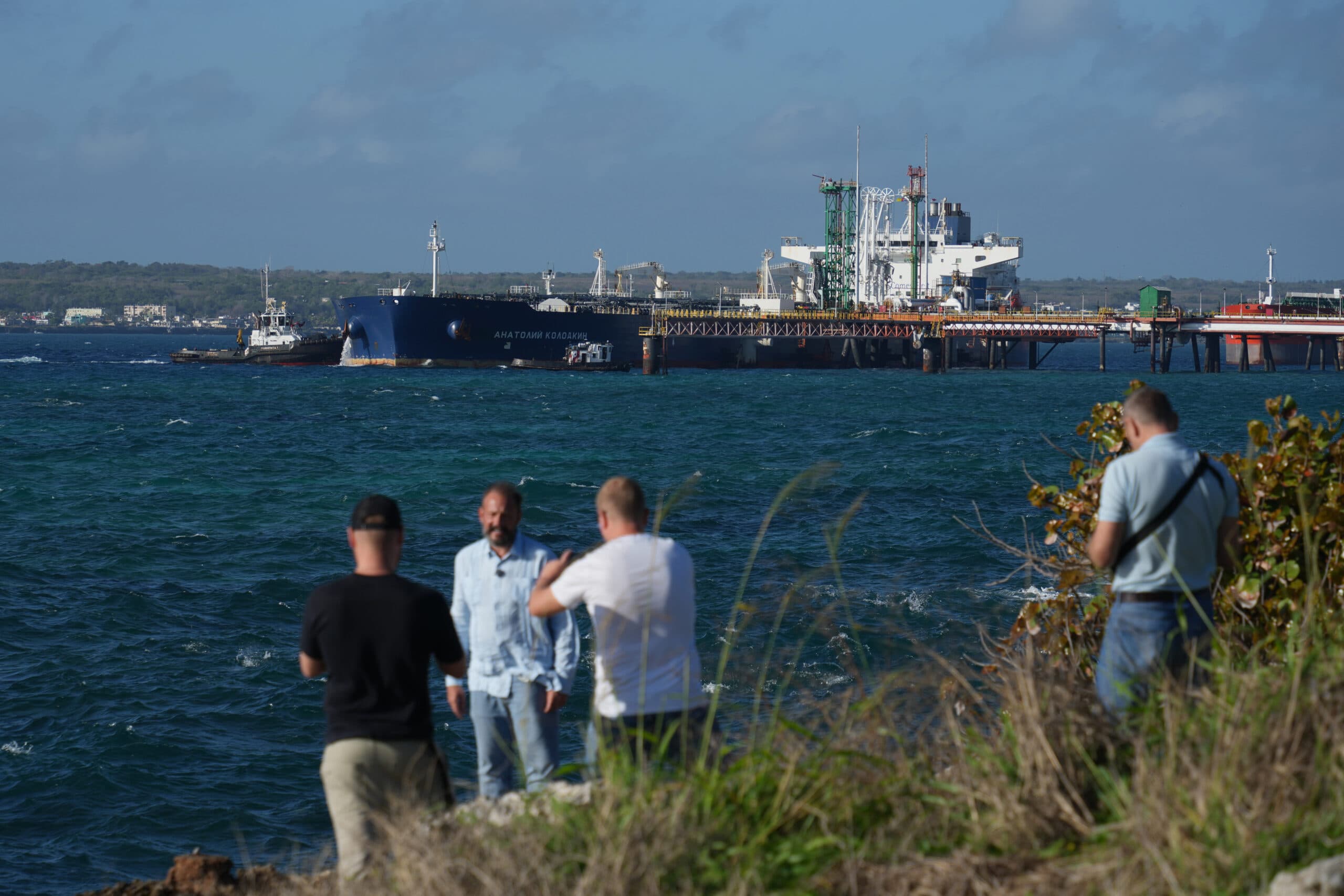 Several people standing on a grassy shoreline taking photos, with a large cargo ship docked in the background on a sunny day.
