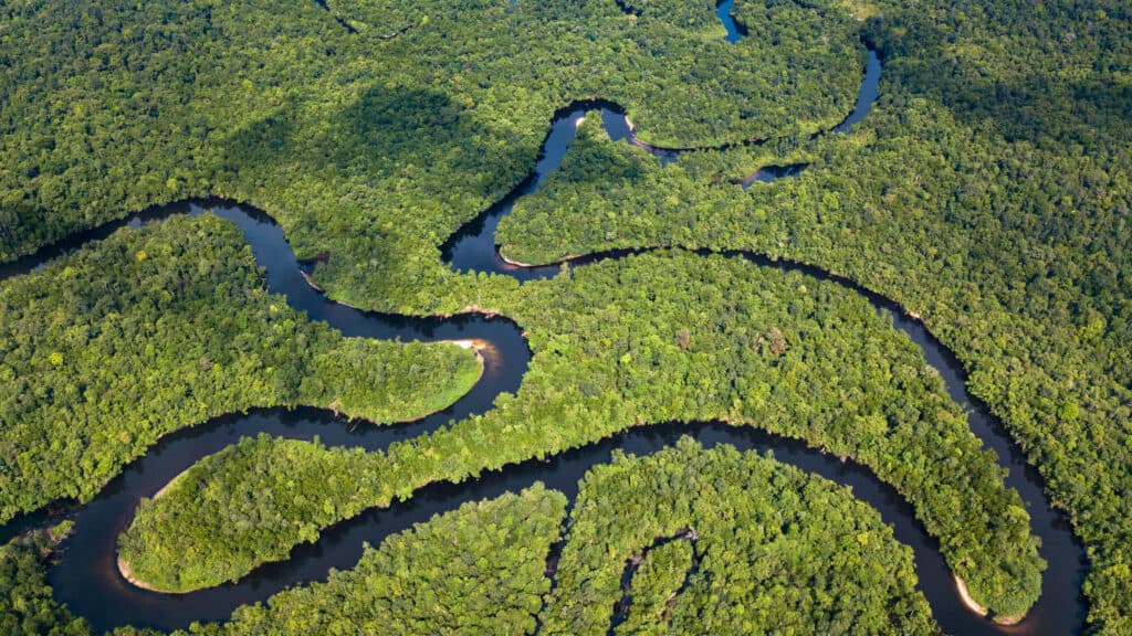 Aerial view of a winding river cutting through dense green jungle landscape.
