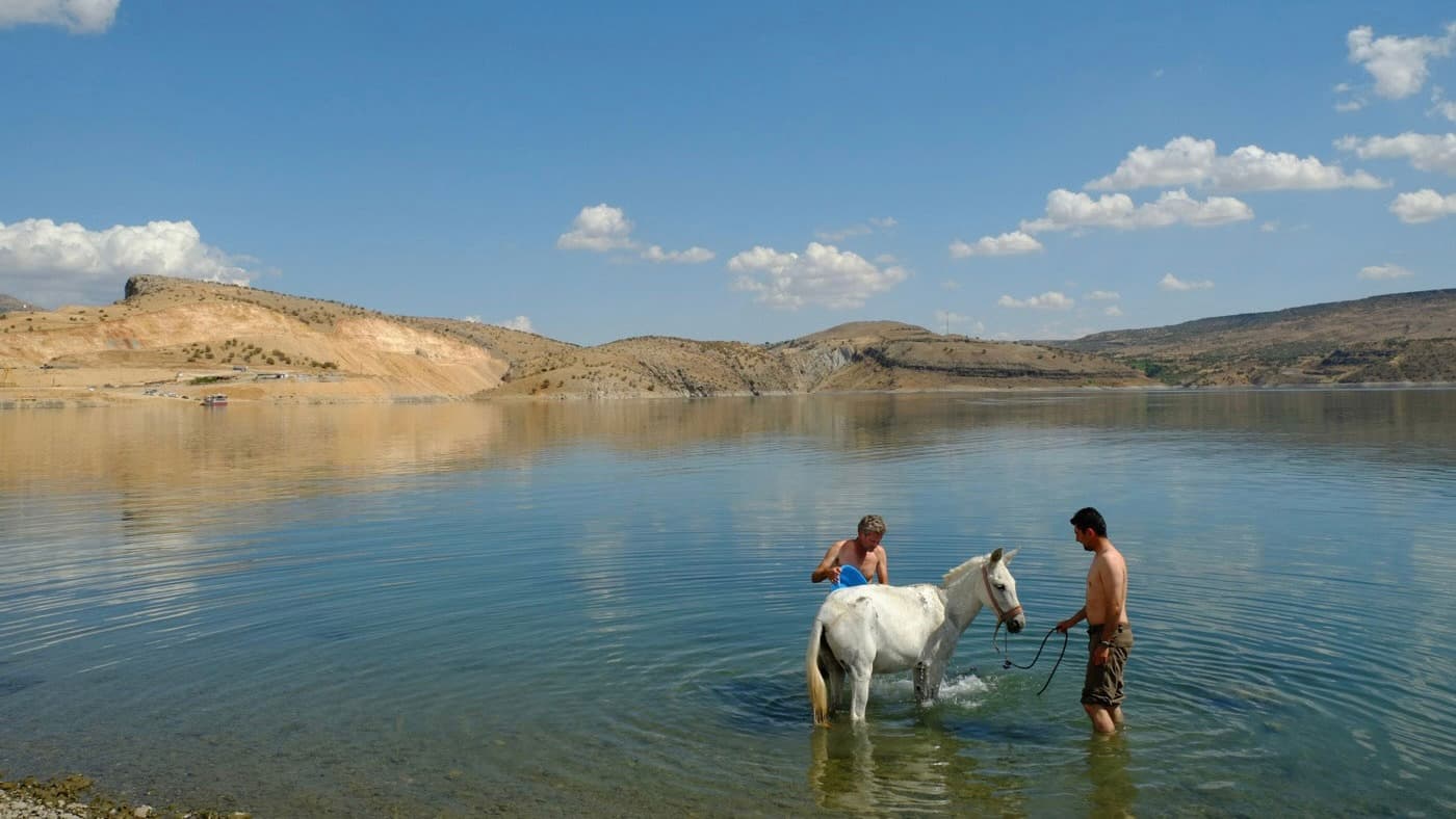 Two people stand with a white horse in a calm lake, surrounded by rolling hills under a blue sky.